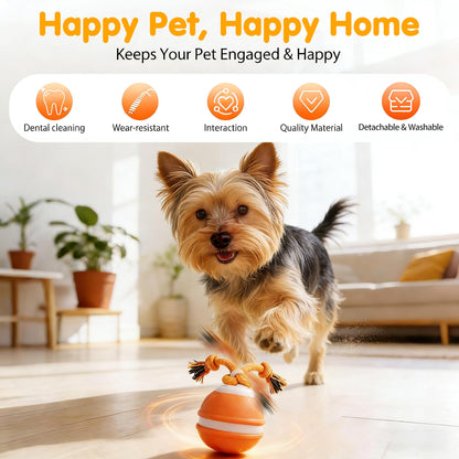 SmartPawz™ Interactive Smart Ball