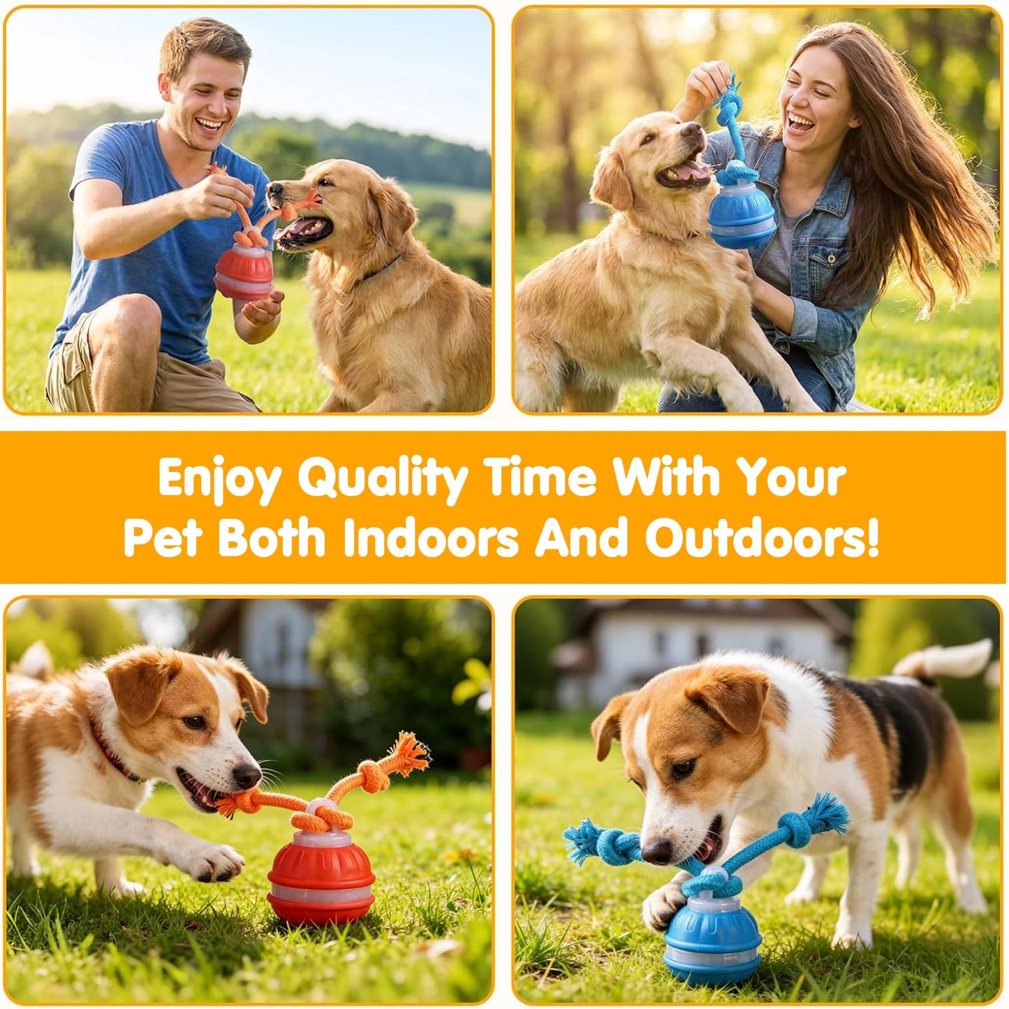 SmartPawz™ Interactive Smart Ball