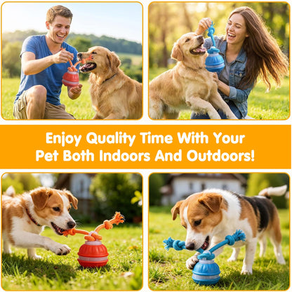 SmartPawz™ Interactive Smart Ball