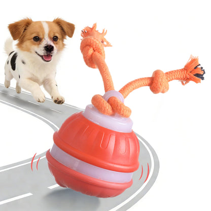 SmartPawz™ Interactive Smart Ball