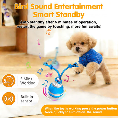 SmartPawz™ Interactive Smart Ball