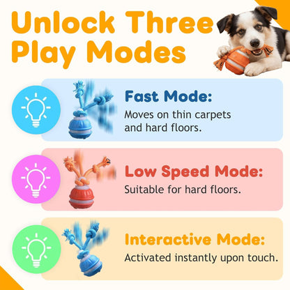 SmartPawz™ Interactive Smart Ball